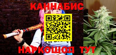 МДПВ Рузаевка